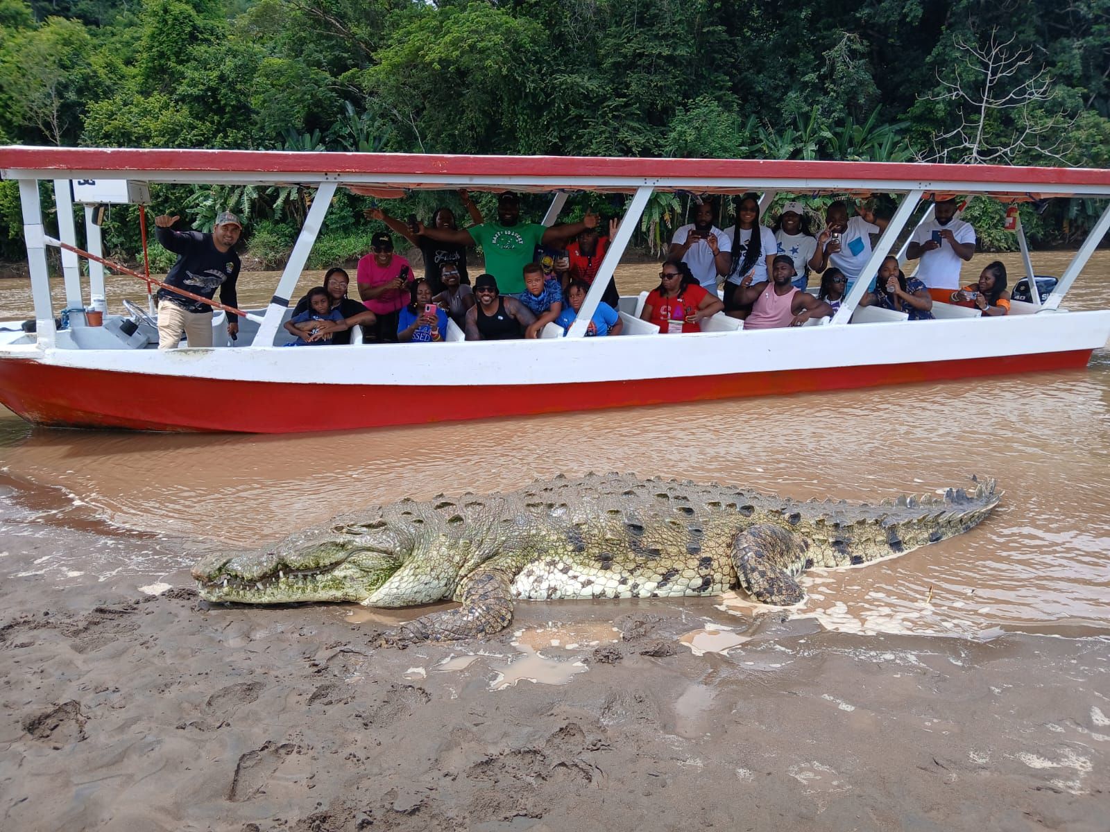 River of Crocs: Mangrove Eco-Adventure