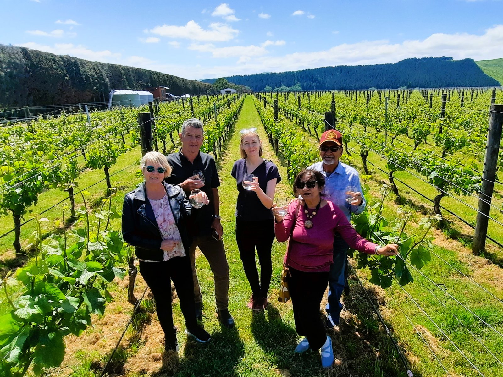 Wairarapa Valley Guided Wine Tour with Wine Tastings 