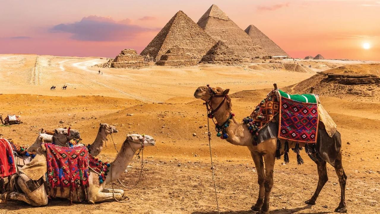 Cairo Pyramids and Grand Egyptian Museum Experience