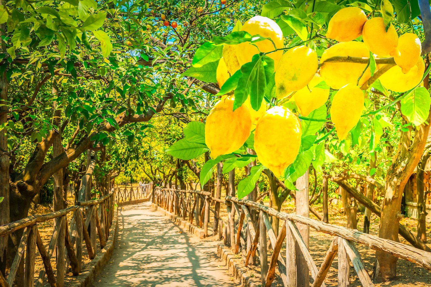 Private Tour - Pompeii, Sorrento and the Island of Capri