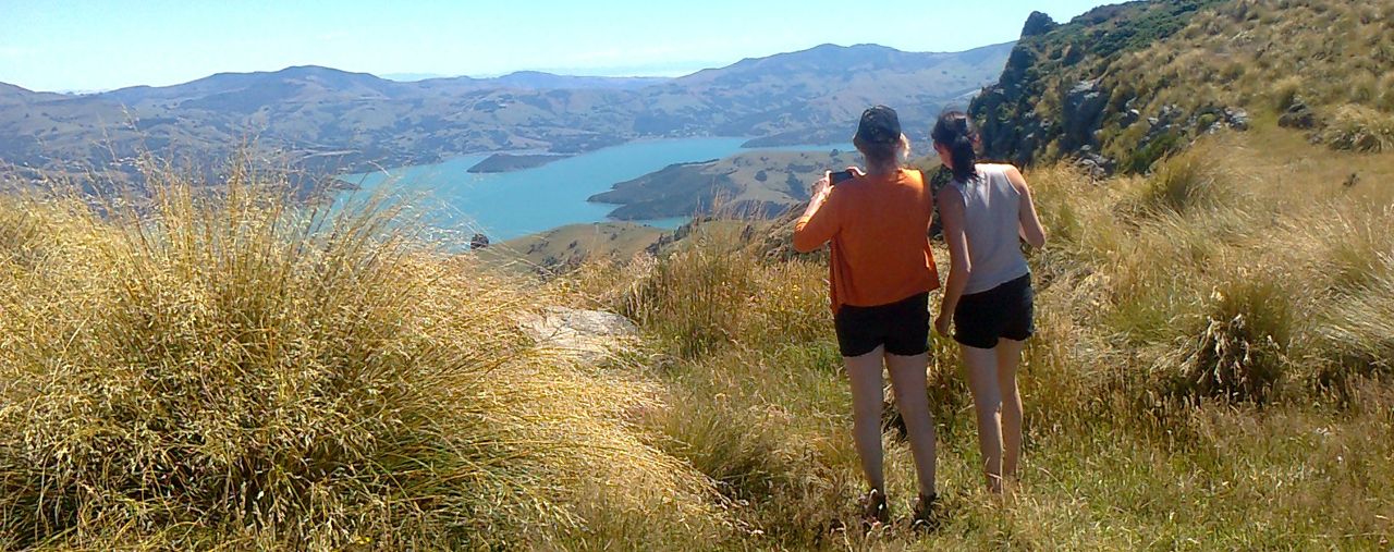 Express Akaroa Scenic Nature Tour