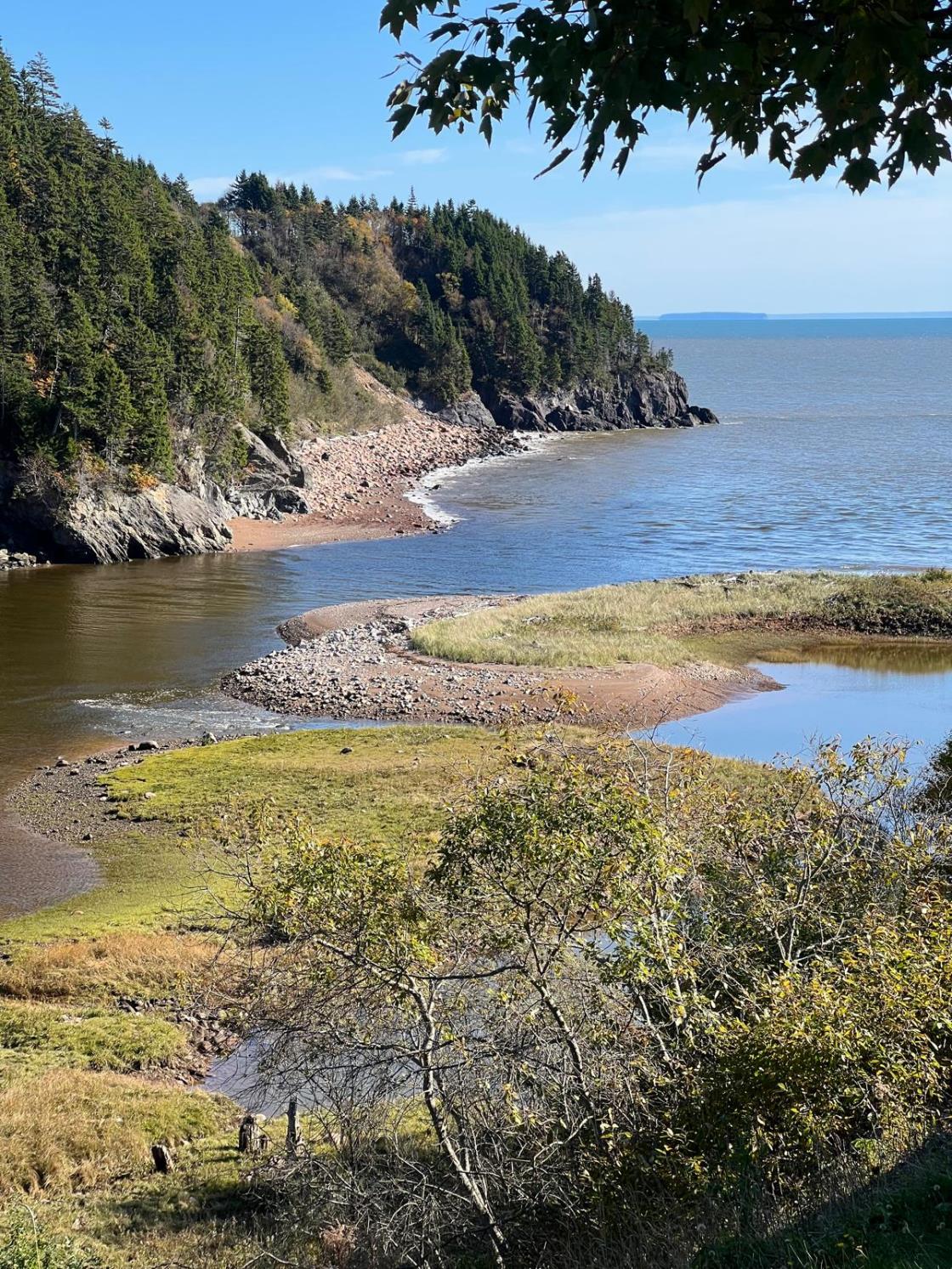 Bay of Fundy and the Main Highlights of Saint John