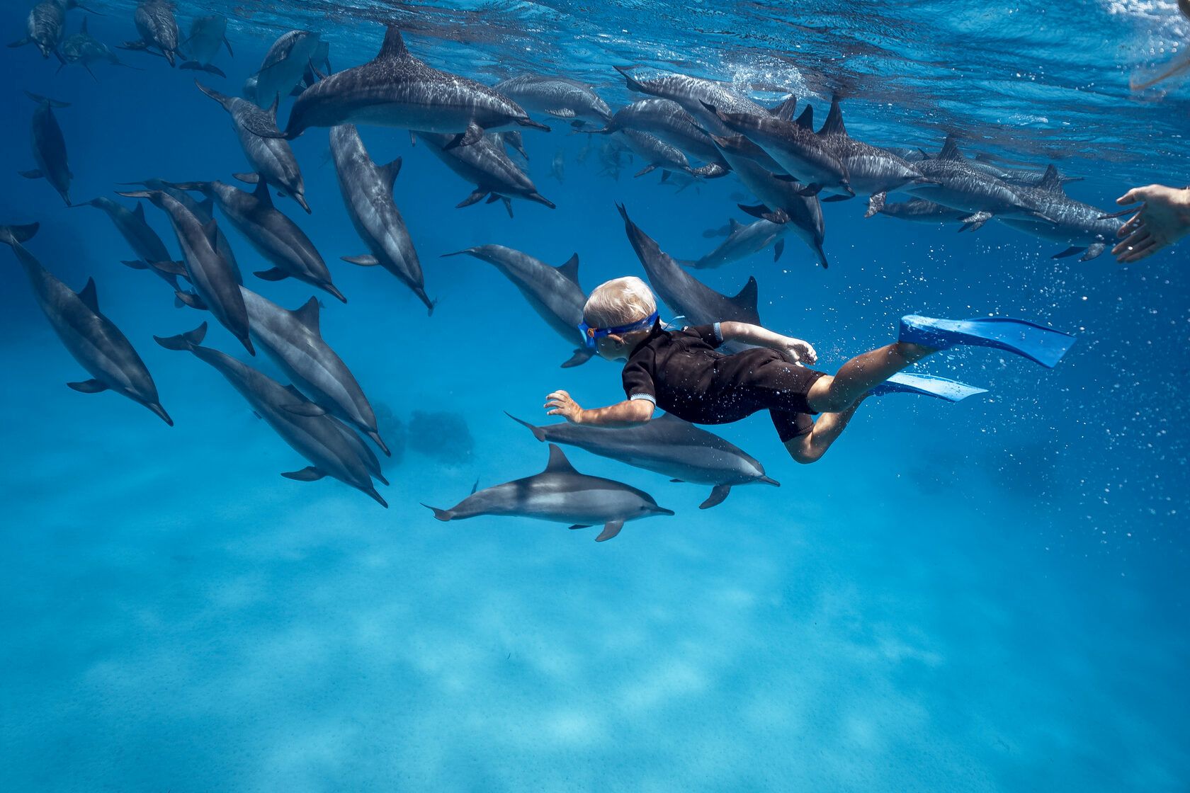 Dolphin Waters Snorkeling Journey