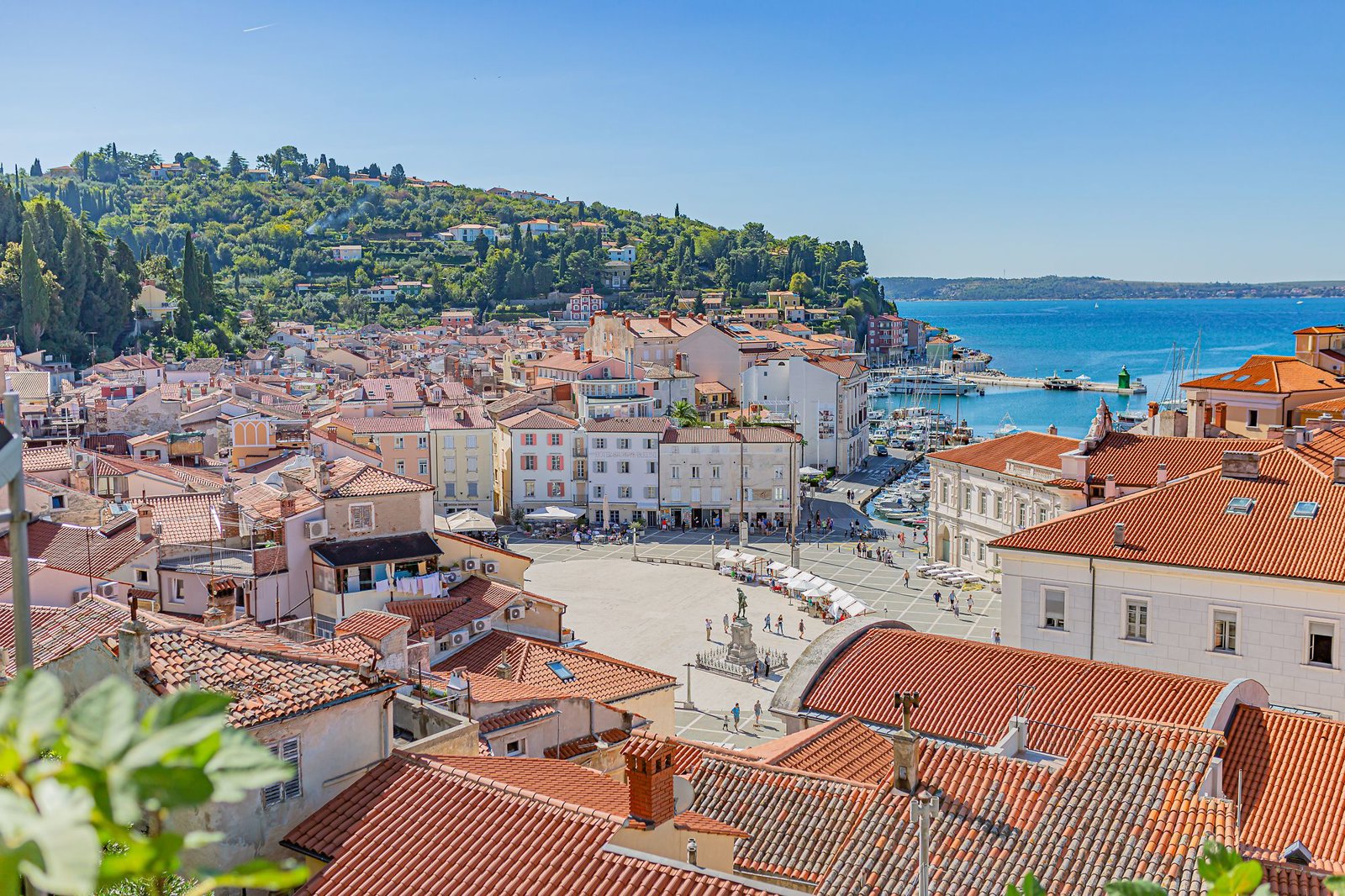 Piran Panorama and Sweet Delight