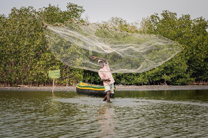 Private Tour - Cartagena Secrets of the Mangroves
