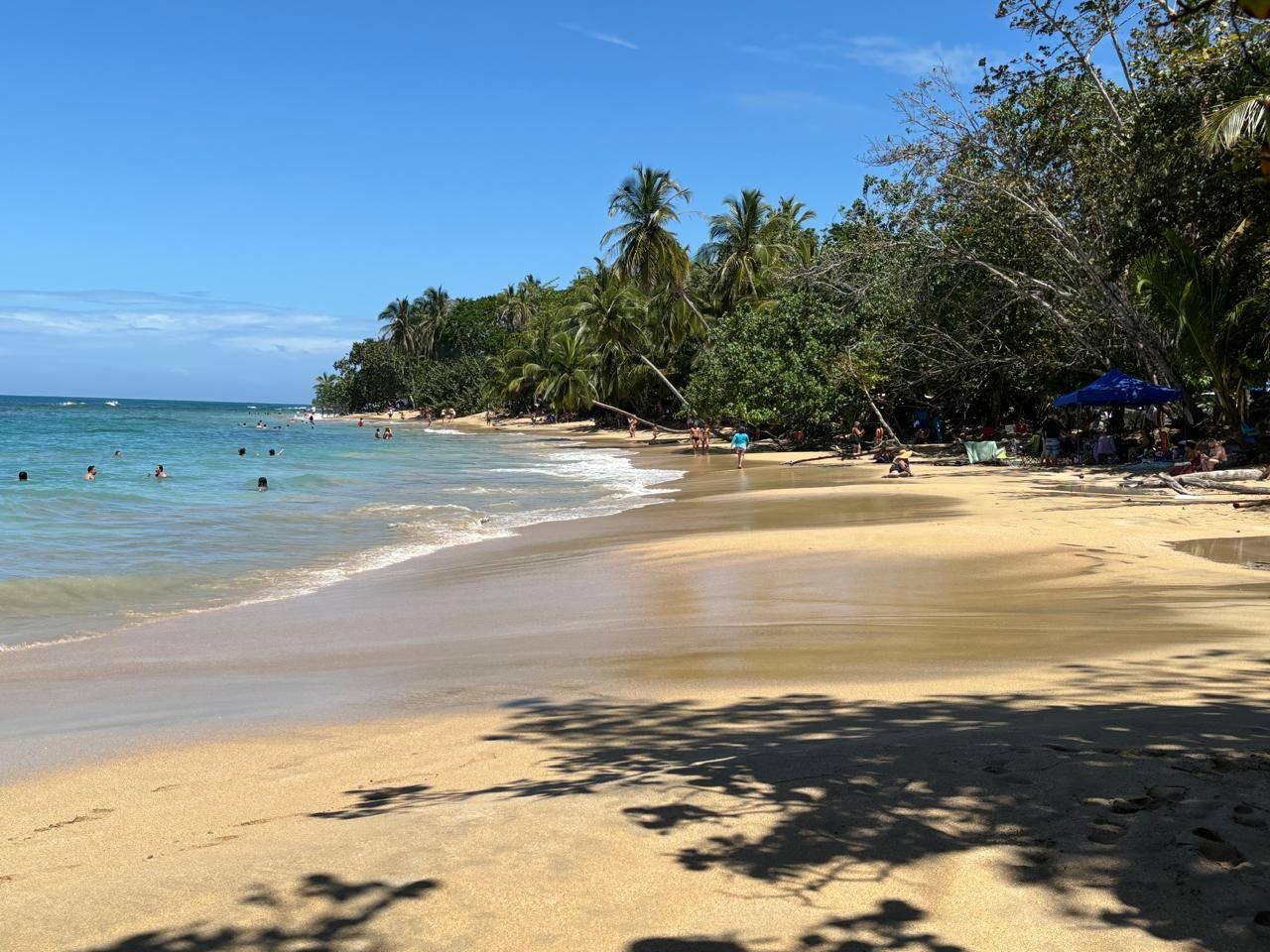 Pura Vida Beach Party