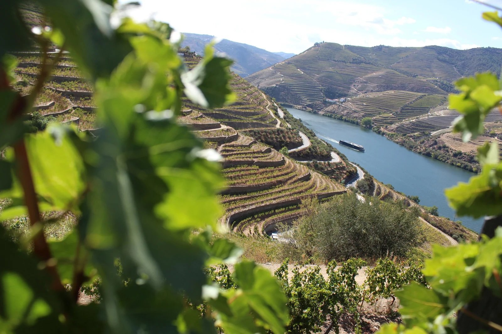 Private Full-Day Douro Valley Tour: Wine, Landscapes and Heritage