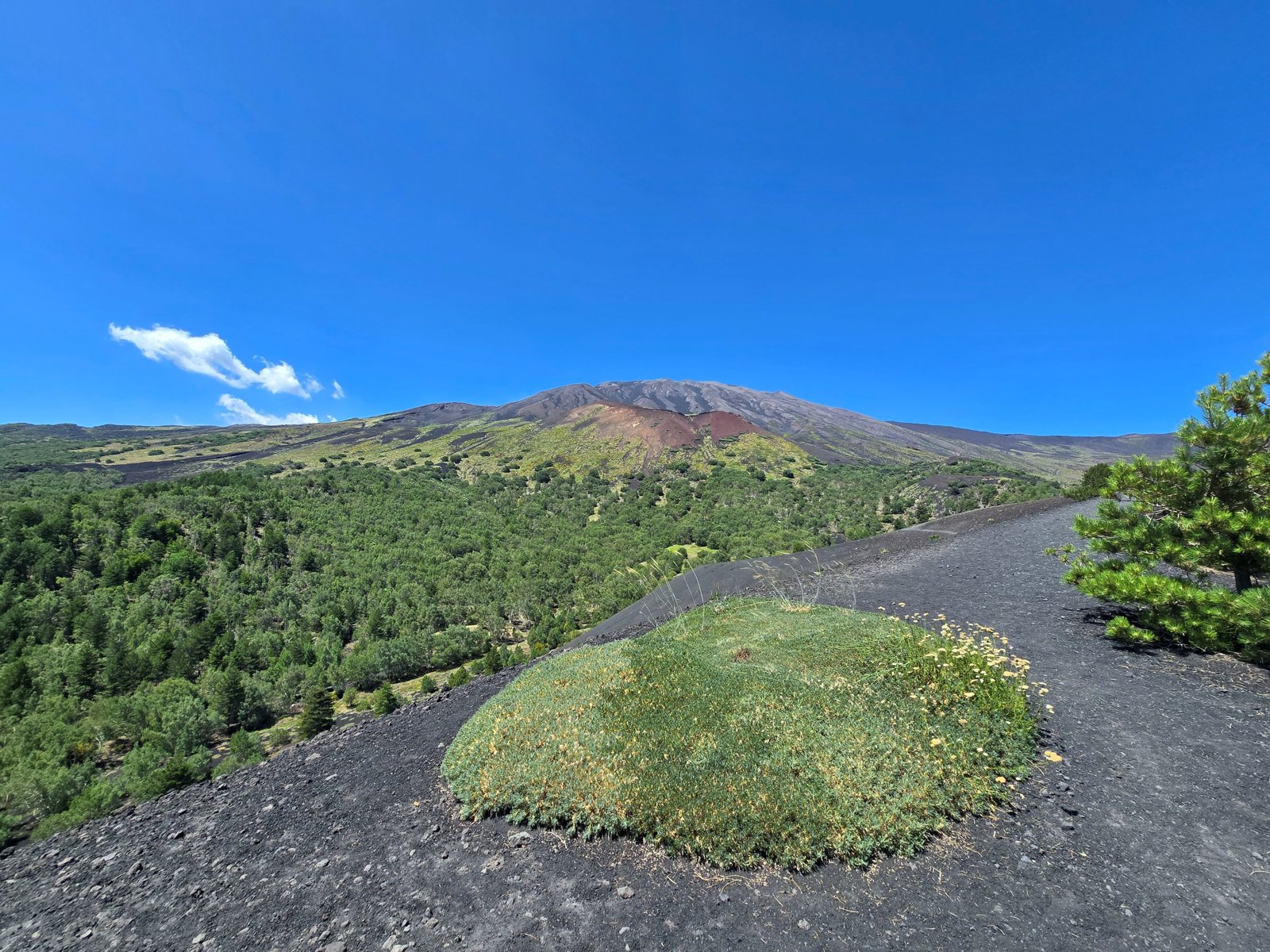 Etna Volcanic Landscapes and Alcantara River Canyon Experience