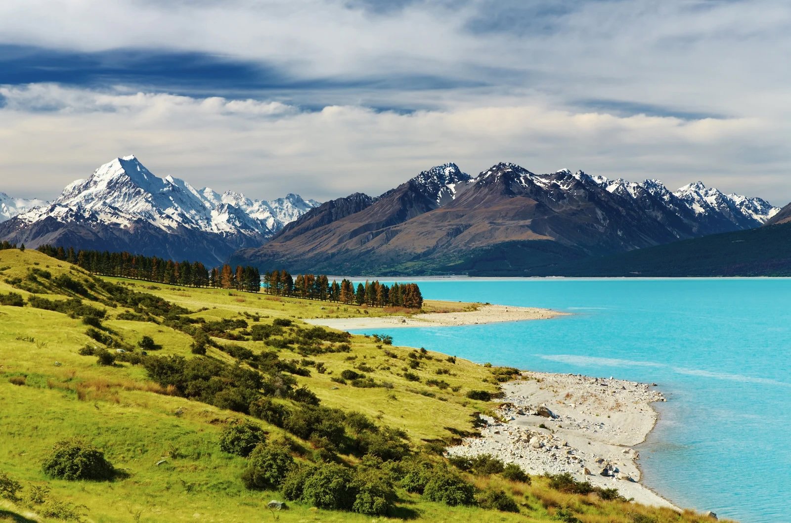 Arthurs Pass Excursion and Farm Tour 