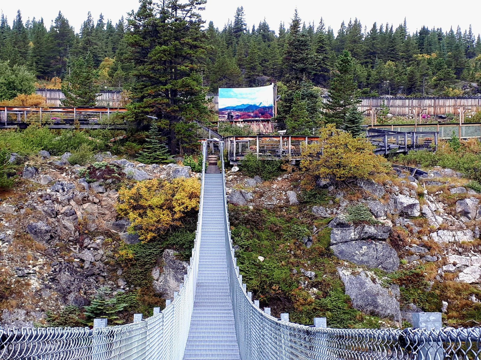 Yukon Wilderness and Suspension Bridge Tour