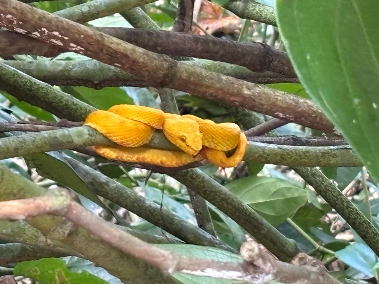 Hike, Splash, and Relax in Cahuita