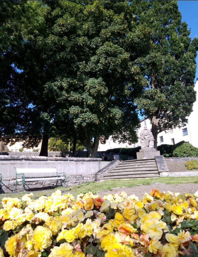 City by the Sea: Alesund Walking Tour