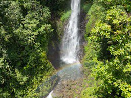 Dominica’s Wild Side: Waterfalls, Gorges and Hot Springs