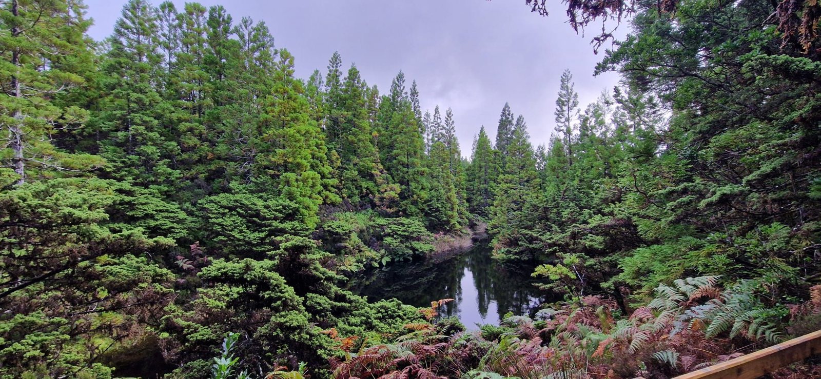 The Trail of the Black Mysteries	