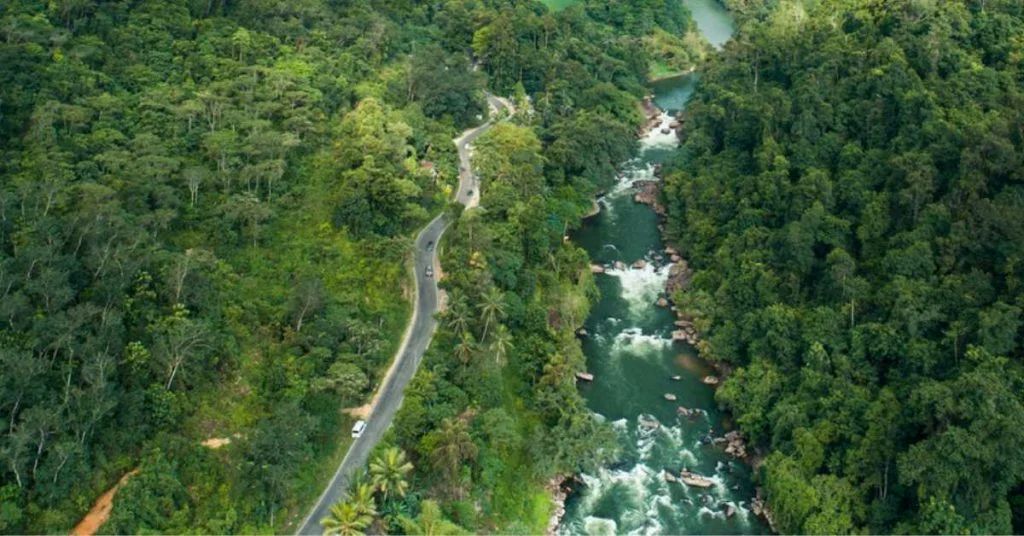 Private Tour White Water Wonders: Rafting on the Kithulgala River Plus Lunch