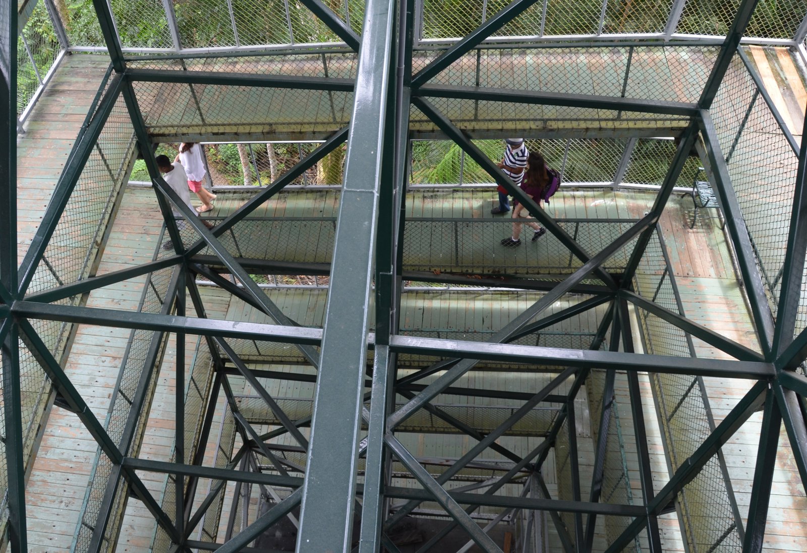 Aerial Tram Adventures