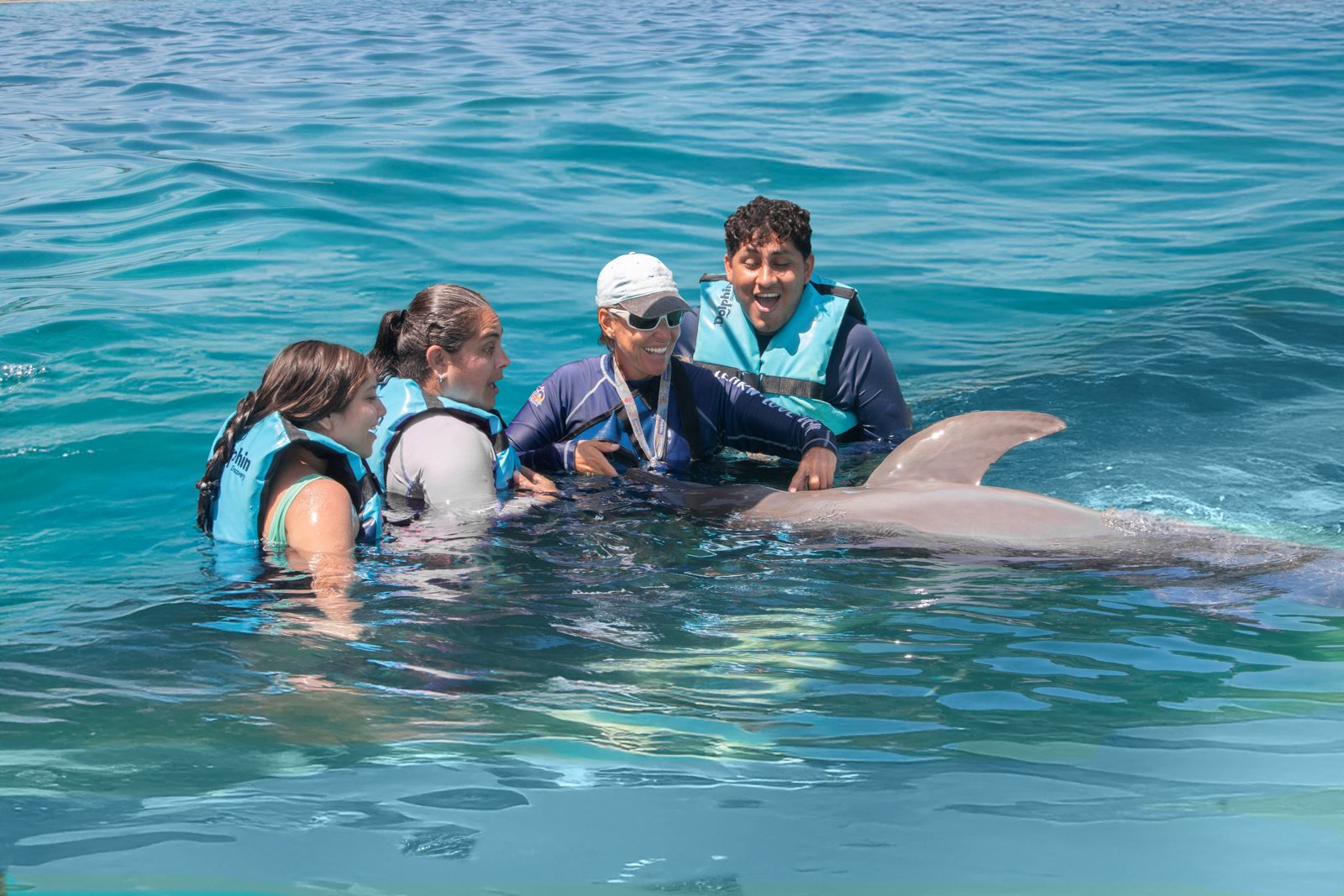 Swim with the Dolphins - The Swim Adventure