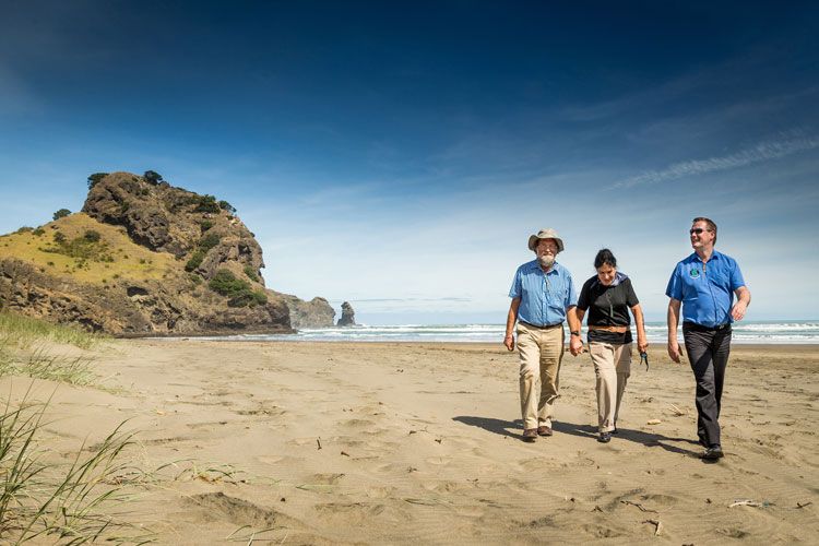 Private Best of Auckland West Coast