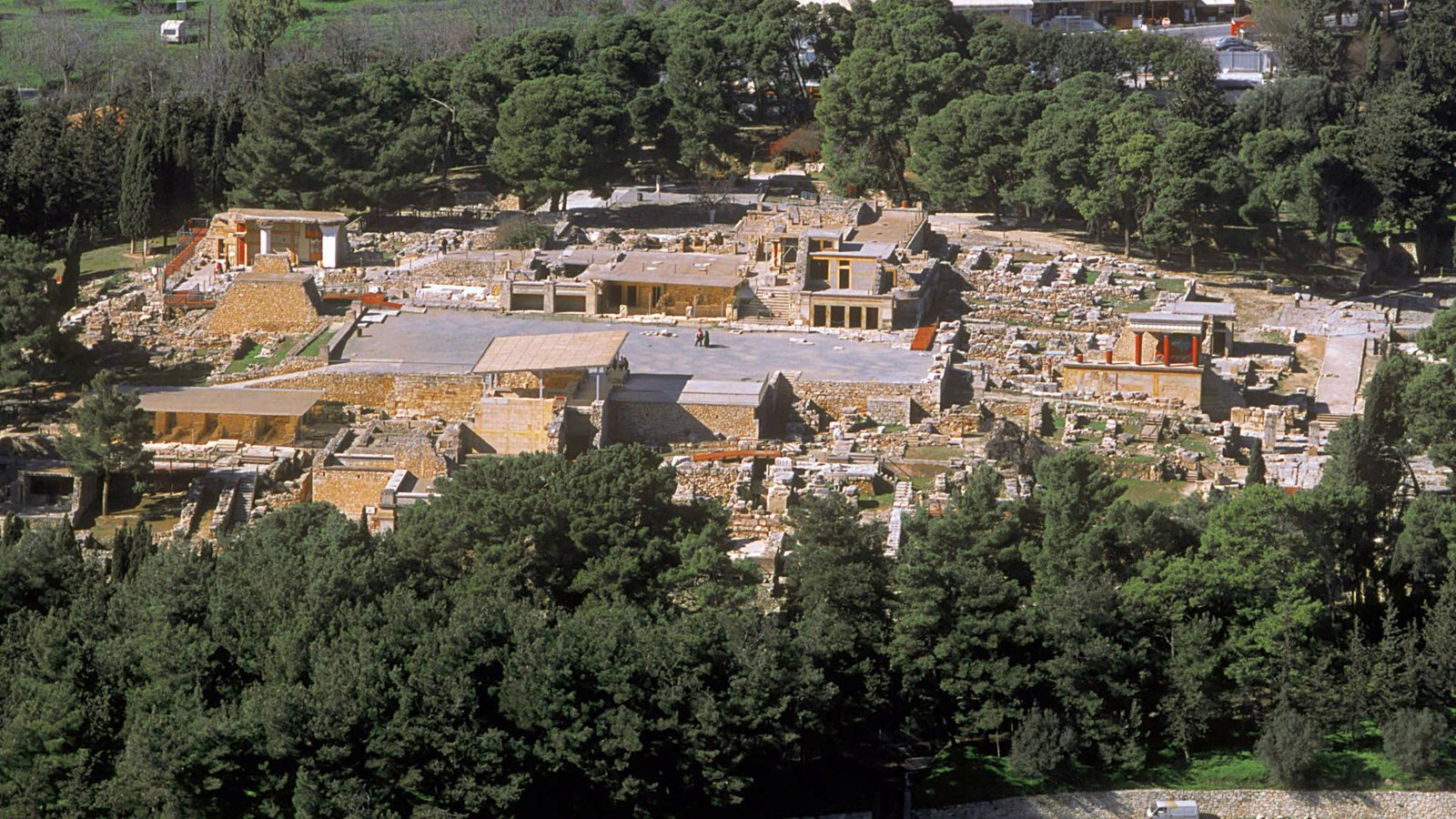 Private Knossos Palace - Organic Wine and Olive Oil Tasting