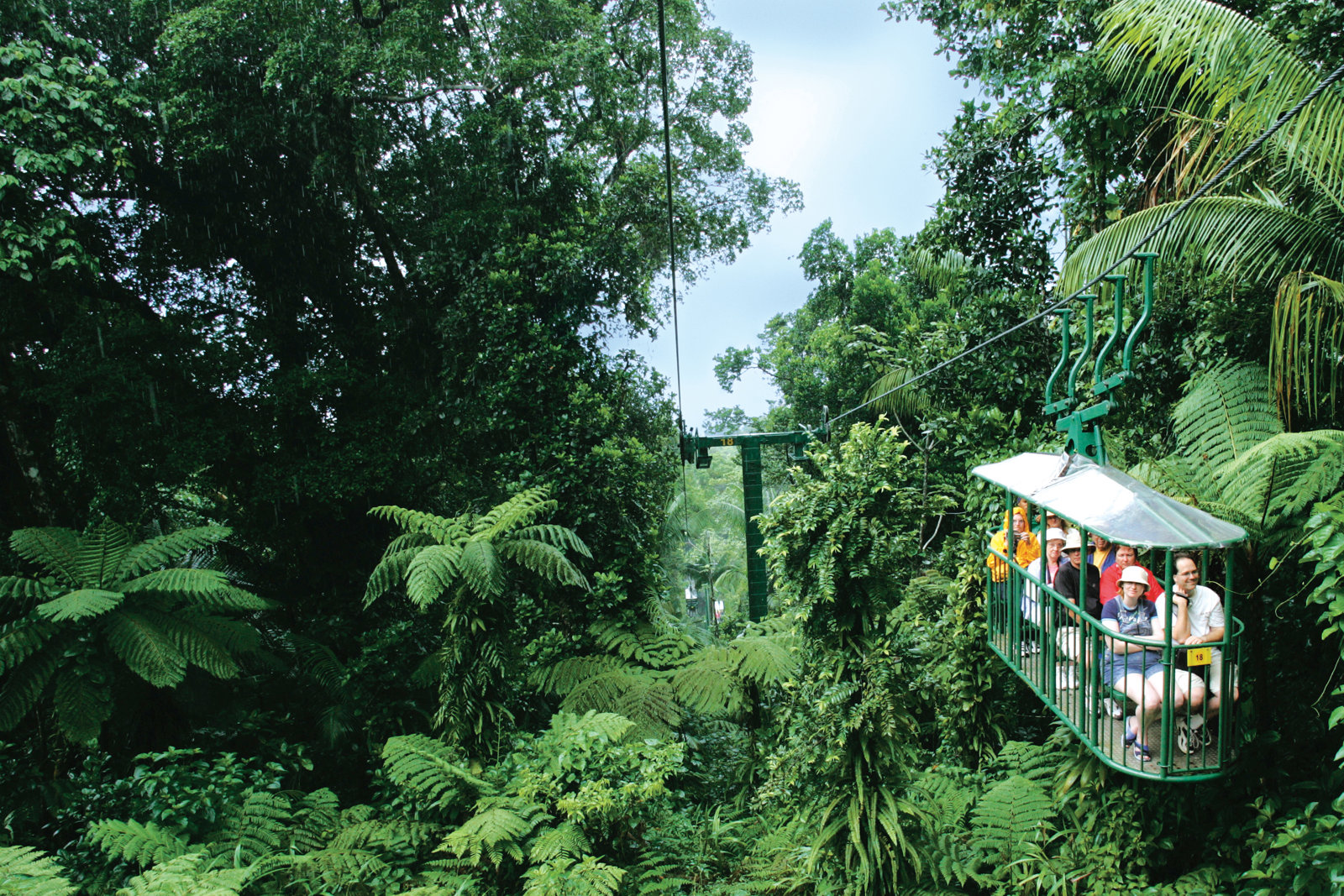 Rainforest Aerial Tram Tour