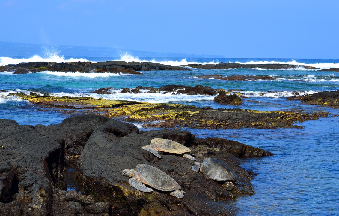 Hilo Adventures: Volcanoes National Park, Breathtaking Waterfalls and more!