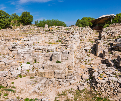 Private Ancient City of Troy and Canakkale Exploration