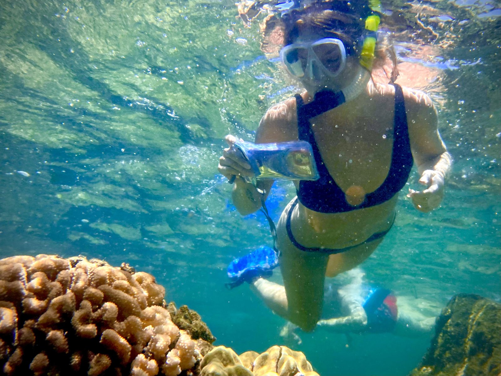 Hilo Beach Snorkel