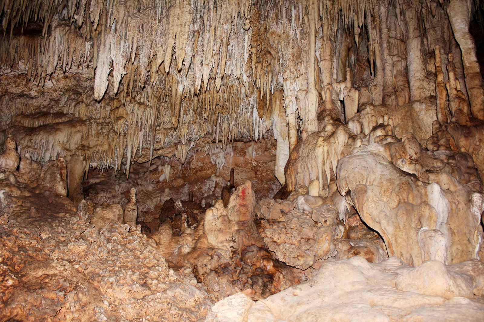 Bonaire Cave Adventure: Explore the Island Beneath the Island