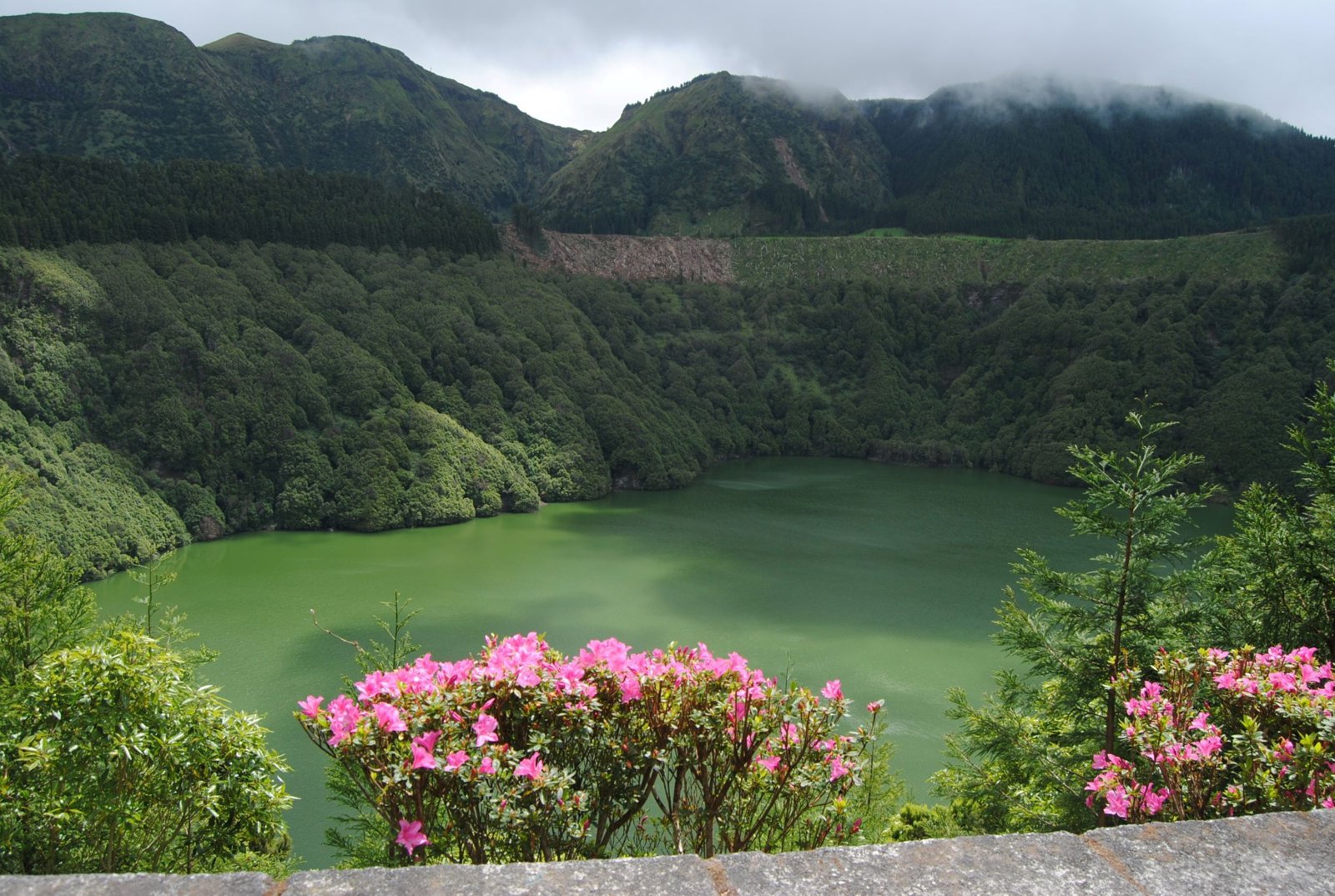Small Group Discovery - Sete Cidades Crater Lake Highlights