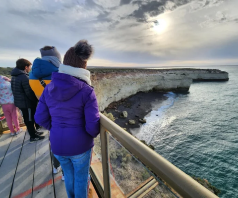 Puerto Madryn City Highlights and Punta Loma Sea Lion Reserve
