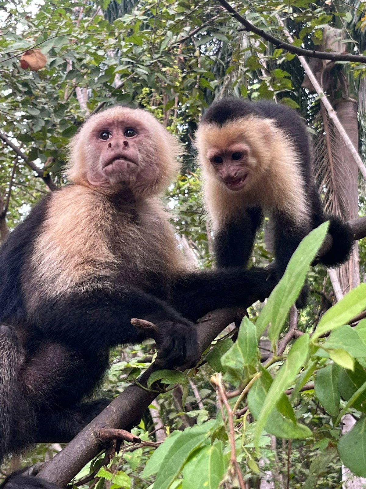 Wildlife Rescue Center Tour