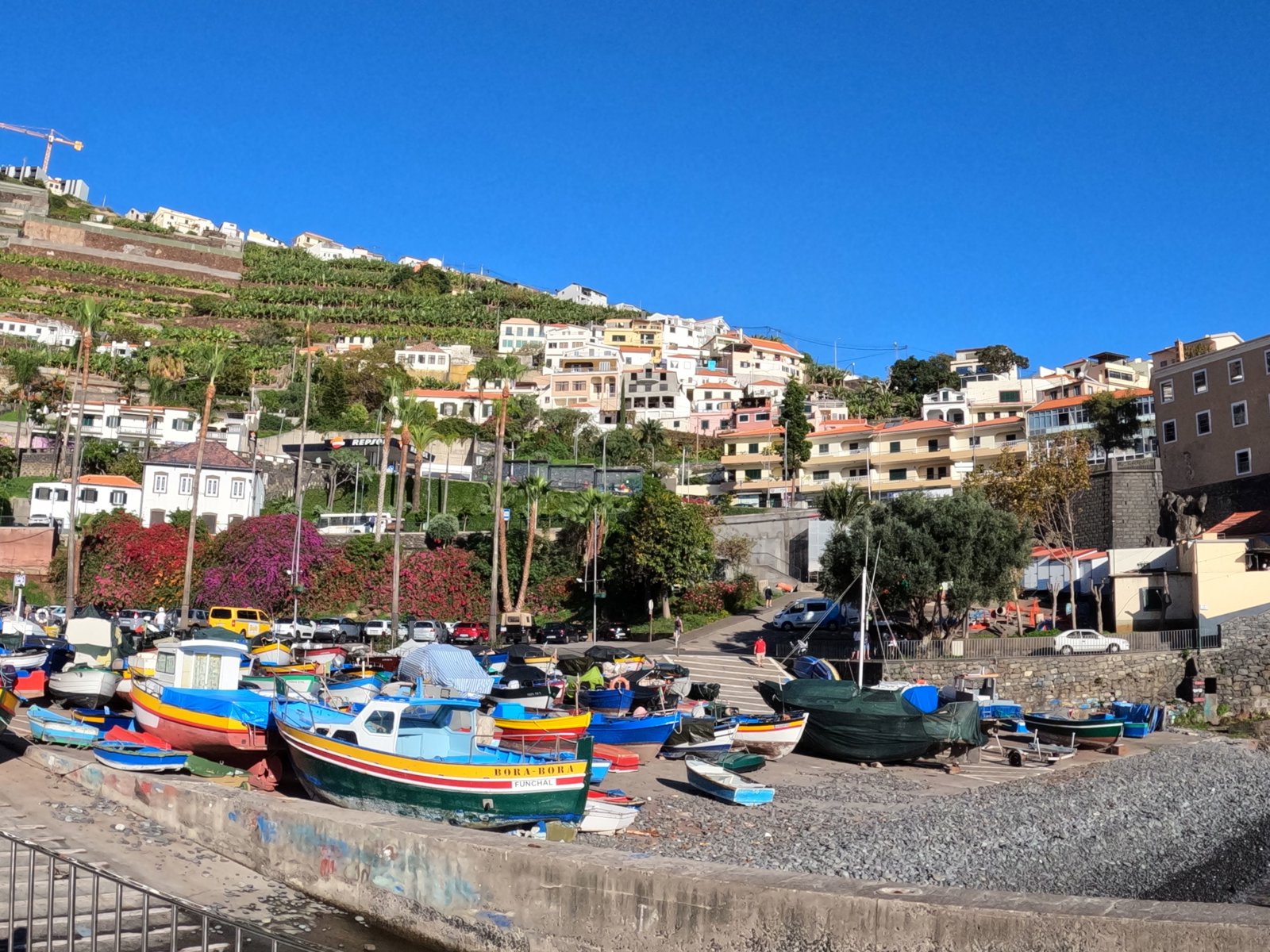 Private Funchal and Eira do Serrado Sightseeing