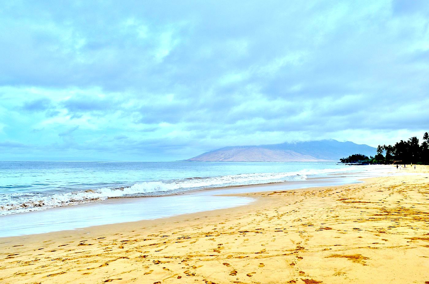 Shoreline Escape: Maui Beach Day Express