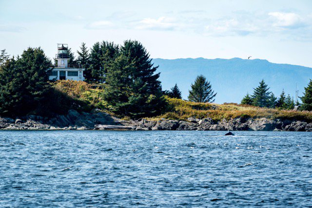 Lighthouse, Totems and Eagles