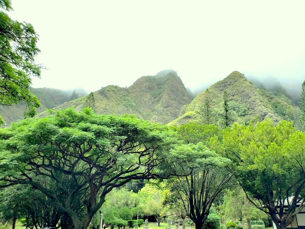 Maui’s Cultural Journey: A Shuttle Through Time