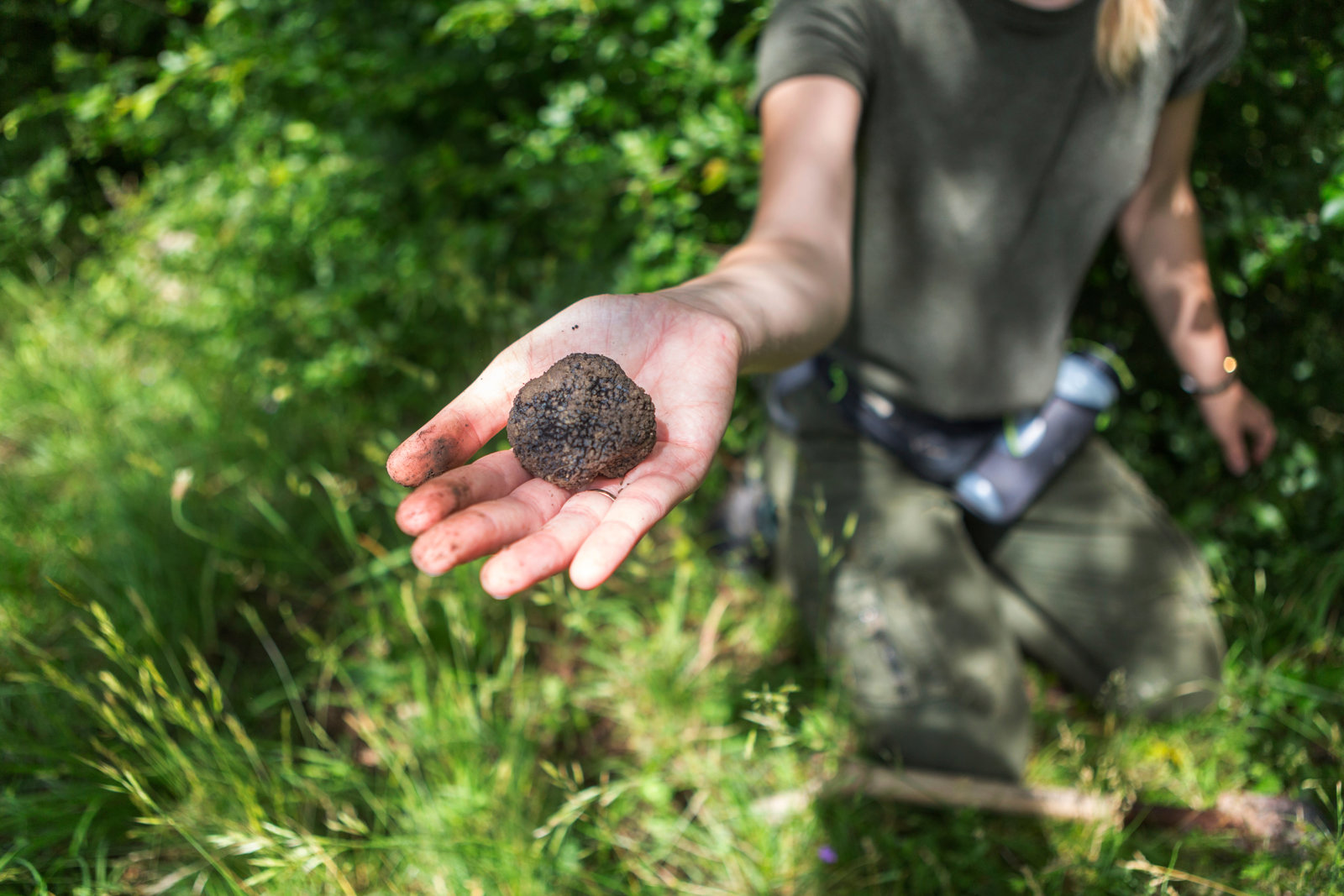 Tuscan Countryside Truffle Adventure and Feast