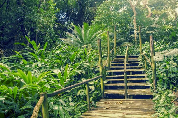 Vuda Orchids and Coastal Delights: A Cultural and Scenic Escape in Lautoka