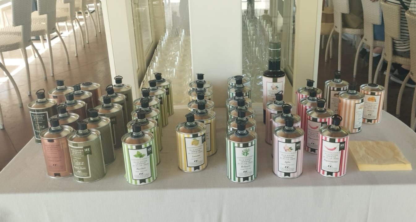 Private Trani Sightseeing: History, Sea, and Olive Oil