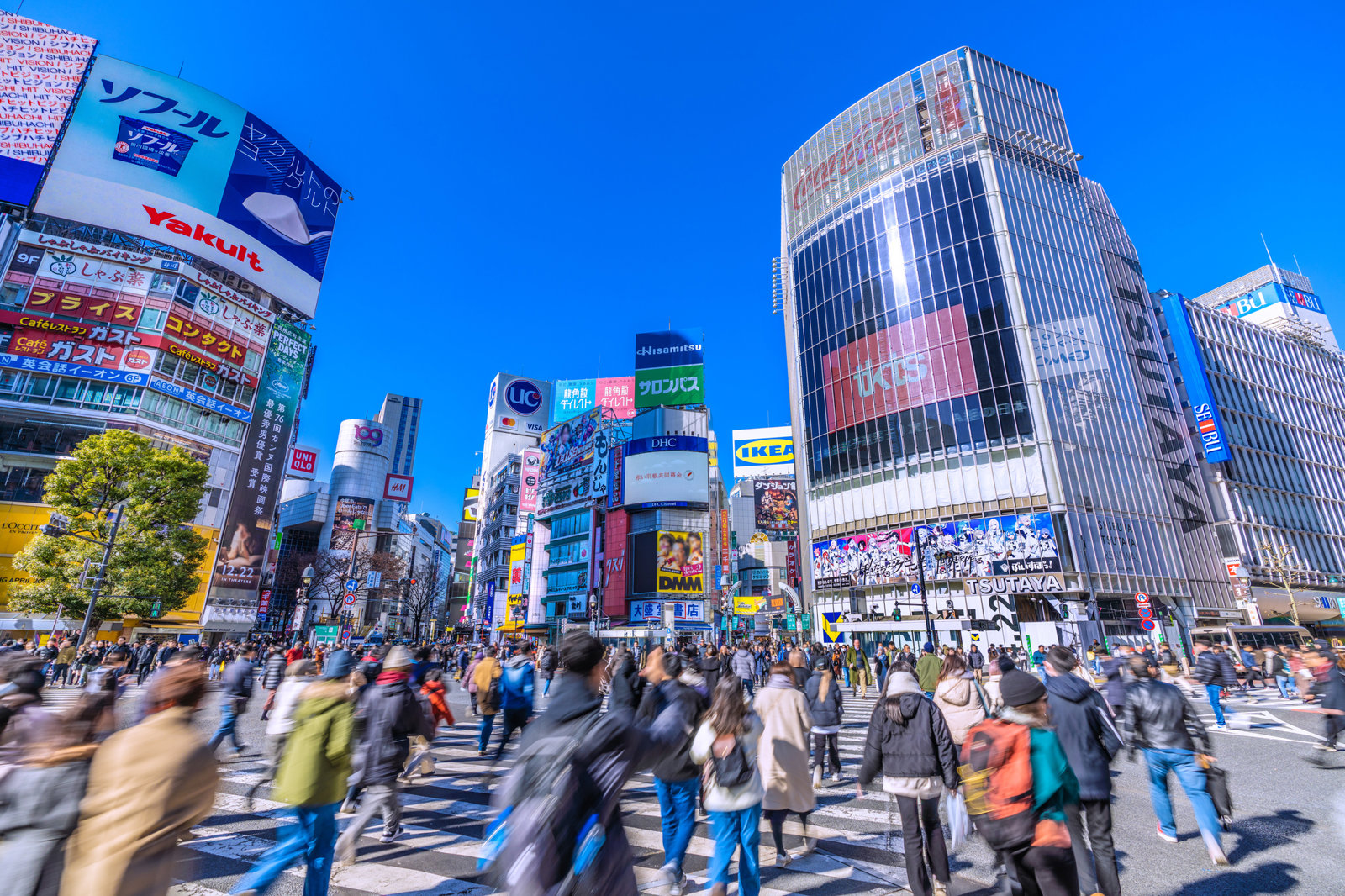 Private Tour of Tokyo Highlights (Peak Season)