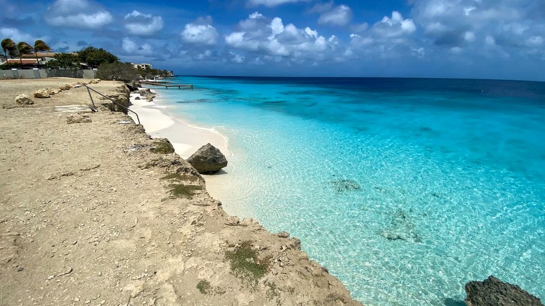 Discover Bonaire: North and South Island Nature 