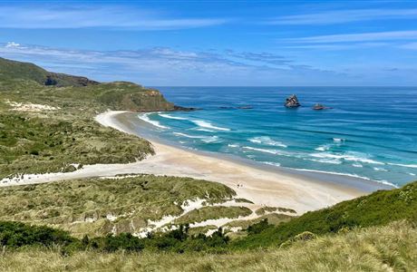 Dunedin Discovery Tour: Castle, Gardens and History