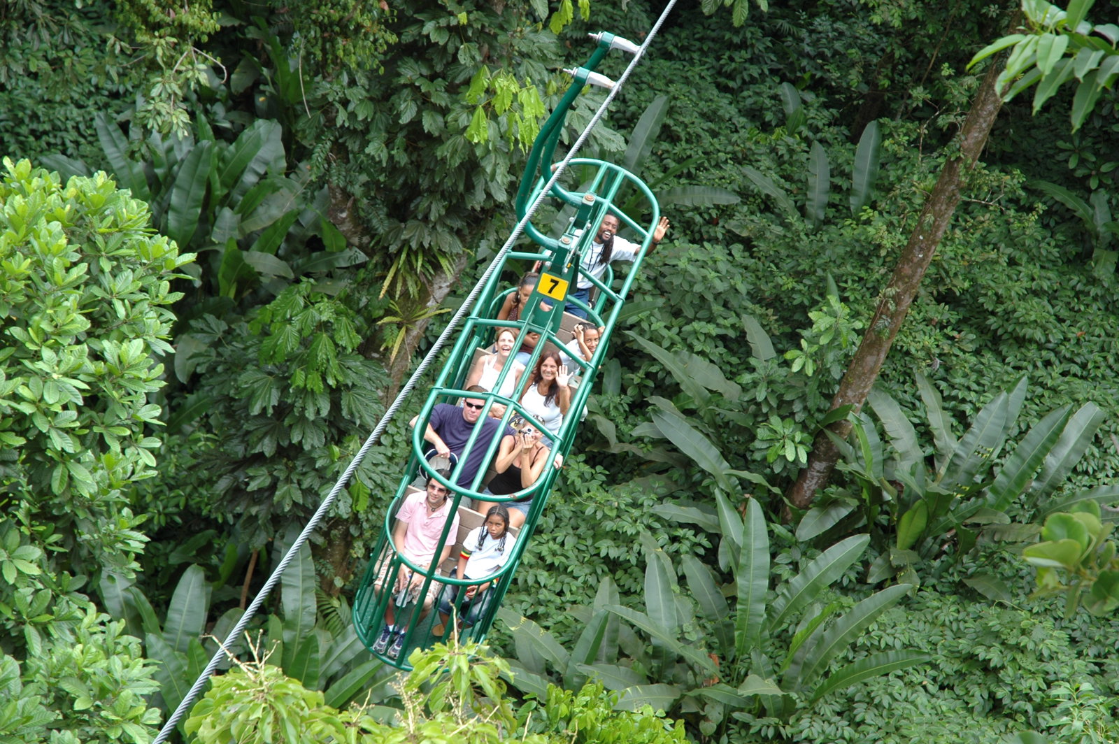 Rainforest Aerial Tram Tour