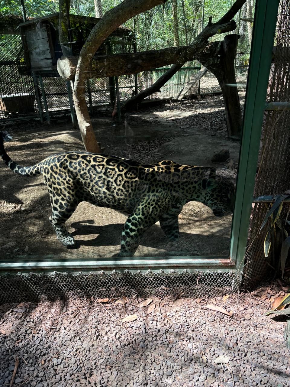 Wildlife Rescue Center Tour