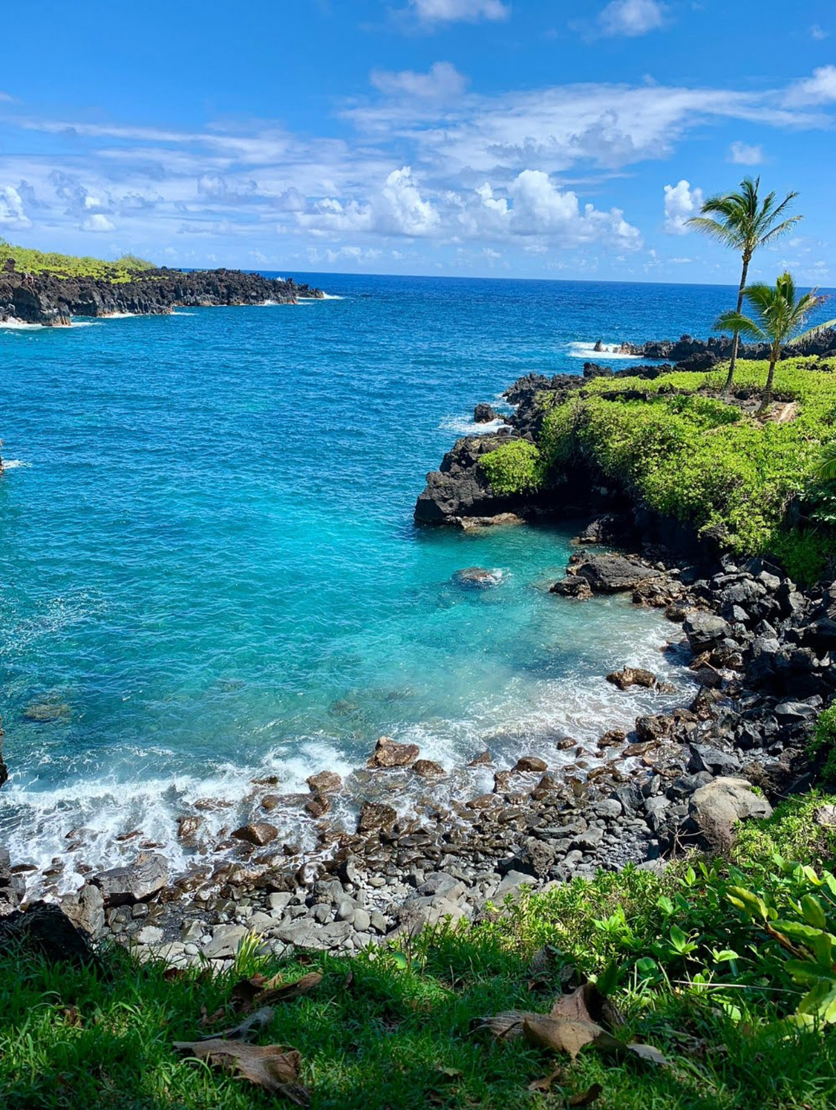 The Ultimate Road to Hana Experience – Waterfalls, Black Sand Beach and Turtles