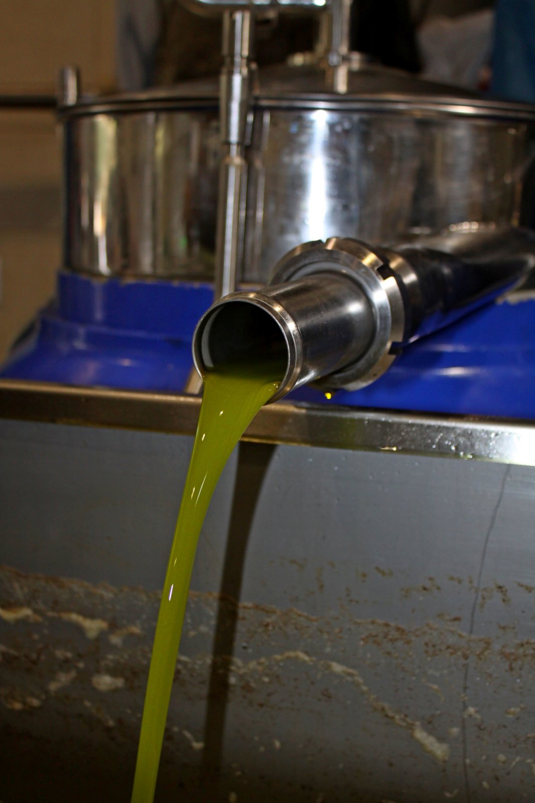 Private Cretan Treasures: Wine and Olive Tasting Experience