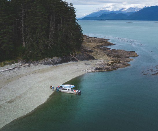Kayaking and Humpback Whales Viewing