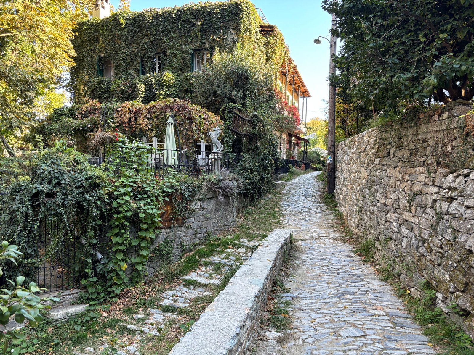 A Taste of Pelion: Mountain Views, Historic Villages and Fine Wine