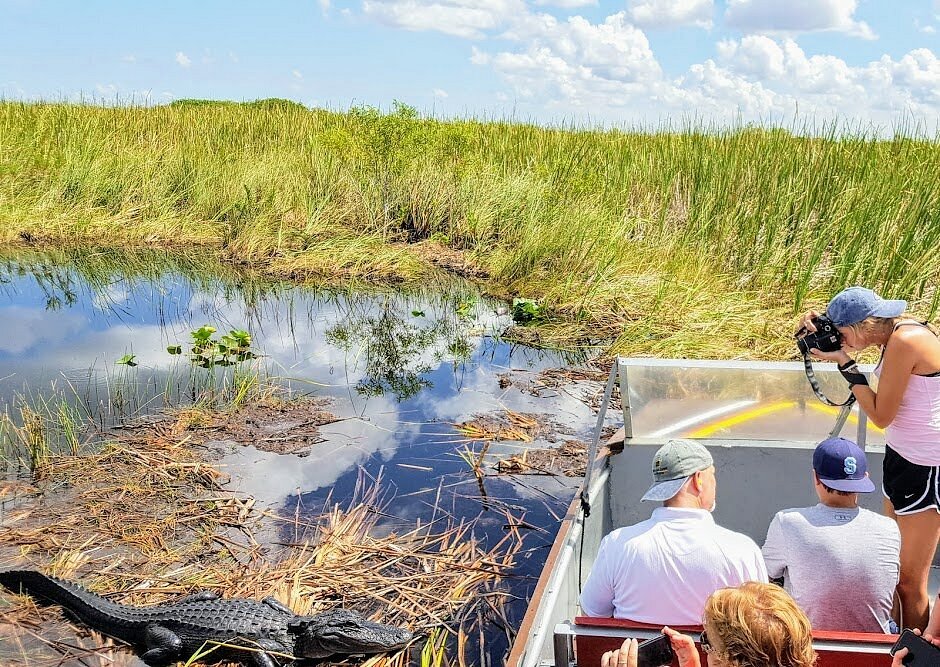 Southern Everglades with Boat Ride and 3 Hikes