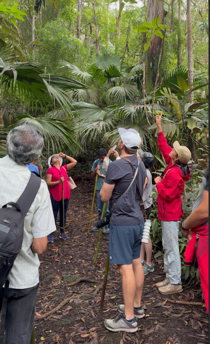 Kona Nature and Culture Tour: Cloud Forest, Coffee Tasting and Turtle Spotting