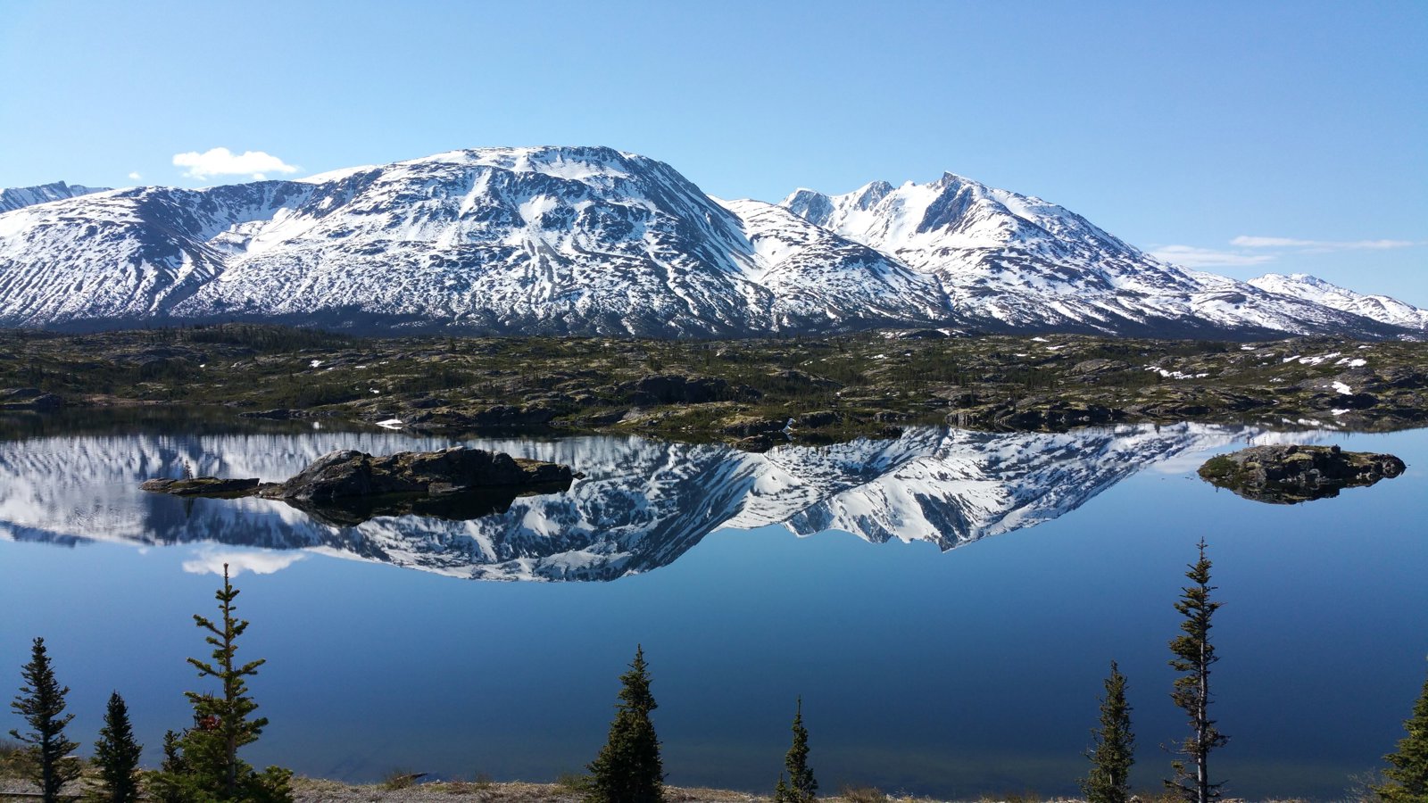 Yukon Wilderness and Suspension Bridge Tour